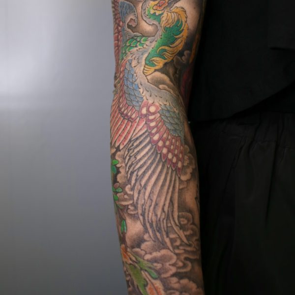 Bright, detailed and colourful, traditional Japanese phoenix tattoo. Tattooes in a fine line style by Harriet Street in Brighton, UK